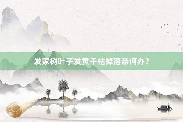 发家树叶子发黄干枯掉落奈何办？