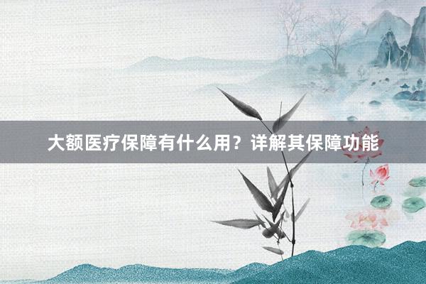 大额医疗保障有什么用？详解其保障功能