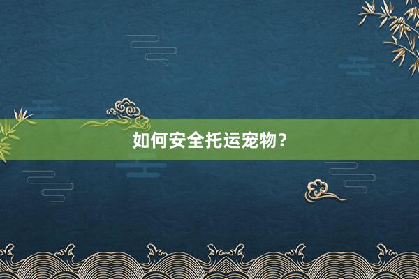 如何安全托运宠物？